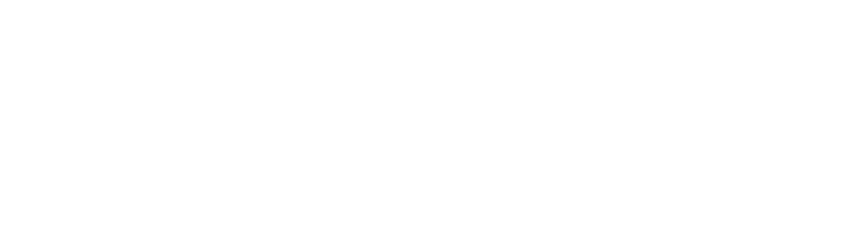 Travel Perfection